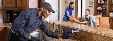 Trusted Menifee, CA Pest control Experts